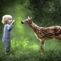 Boy and Deer