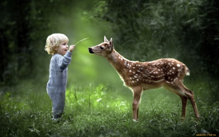 Boy and Deer