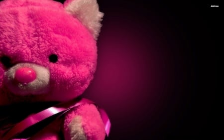 pink bear - toy, bear, pink, teddy