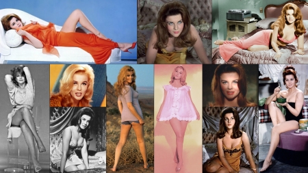 Ann-Margret - Ann Margret, legs, hot, Actress Ann Margret, sexy