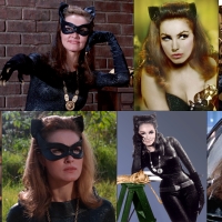 Julie Newmar as Catwoman