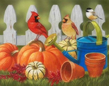 Garden Harvest - pots, birds, pumpkins, paintings, harvest, colors, fall season, fence, leaves, autumn, garden, love four seasons, animals, watering