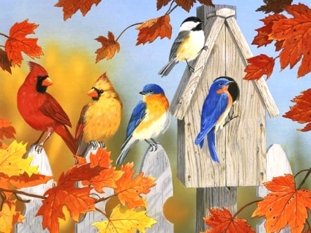 Fall Gathering - birds, paintings, colors, fall season, fence, leaves, birdhouse, autumn, love four seasons, animals