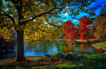 Early autumn in park - trees, pond, beautiful, reflection, fall, colorful, autumn, lake, early, park