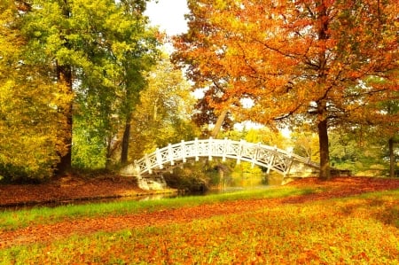 Bridge in autumn park - trees, leaves, fall, colorful, autumn, golden, foliage, bridge, park