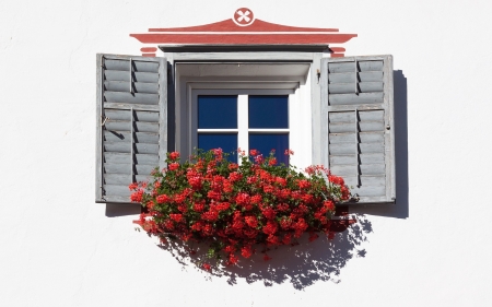 Window - house, flowers, architecture, window