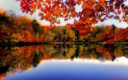 Autumn Riverside - nature, autumn, trees, reflection, forest, river