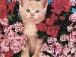 Kitten With Flowers