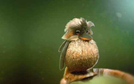 The golden peak - bird, fantasy, green, cute, pasare, golden peak, figure khamosh, orange