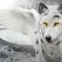 Fantasy wolf