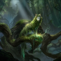 Forest wolf