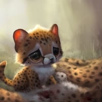 Sad chee