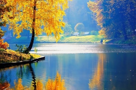 Silent lake - Trees, Autumn, Lake, Foggy