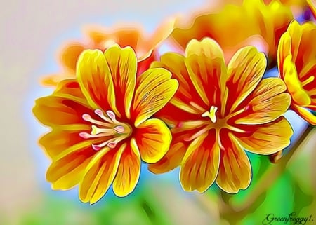 YELLOW PRIMULAS