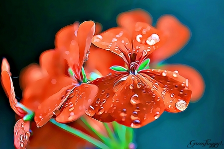 GERANIUM FLOWER - fractal, abstract, flowers, geranium