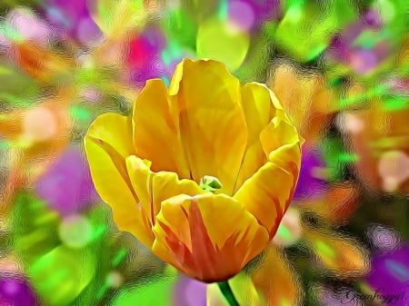 TULIP FRACTAL