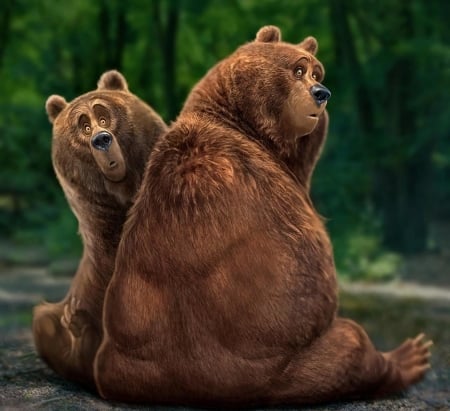 Funny bears