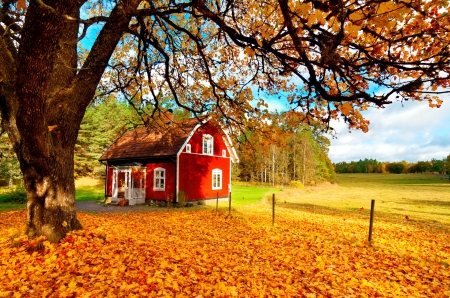 Autumn cottage