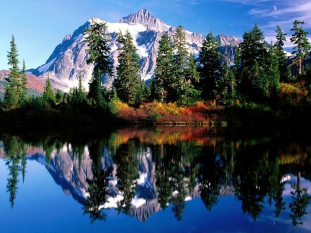 Mirror Reflections - trees, nature, mirrored, lake, forest, mountains, reflection, mount shuksan