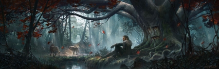 Wolves of the North - north, cristi b, fantasy, mist, wolf, art, luminos, man, tree, game of thrones