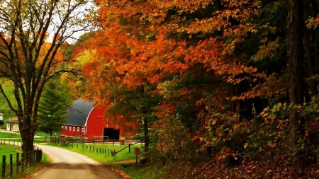 Barn in Autumn Landscape - nature, autumn, landscape, trees, forest, park, road