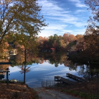 My backyard in Alabama