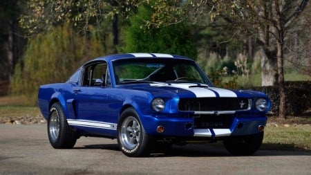 1966-Shelby-GT350SR-Fastback - classic, ford, white stripe, blue