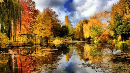 Autumn Reflection - nature, autumn, lake, fall, trees, forest, reflection, shore