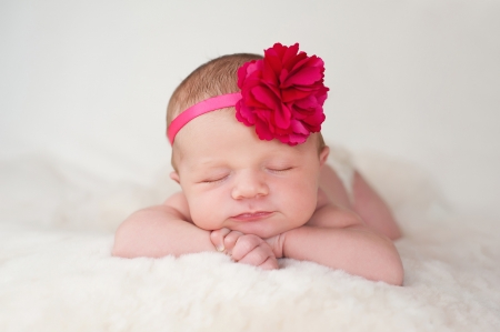 Sweet baby girl - girl, copil, child, rose, sleep, baby, red, pink, sweet, cute, flower