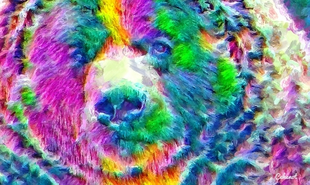 Bear - cehenot, bear, colorful, painting, face, art, abstract, yellow, pink, blue, animal, pictura, green