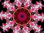 LILAC KALEIDOSCOPE