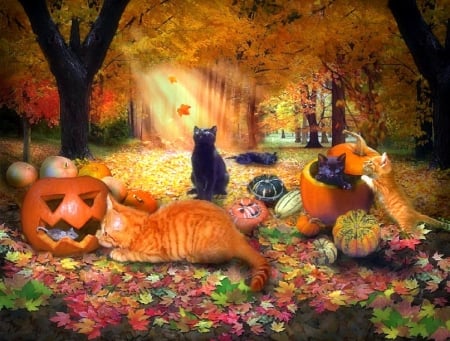 Cats in Autumn