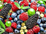 FRACTAL BERRIES