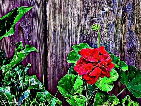 GERANIUM ABSTRACT - fractal, abstract, geranium, red