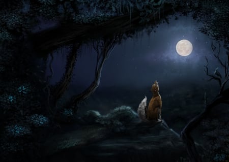 Night fox - moon, vulpe, bjpentecost, fox, night, forest, howl, fantasy, luminos, luna