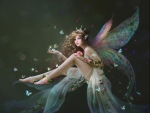 Fairy