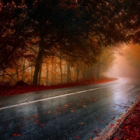 Road through Fall Autumn Foliage