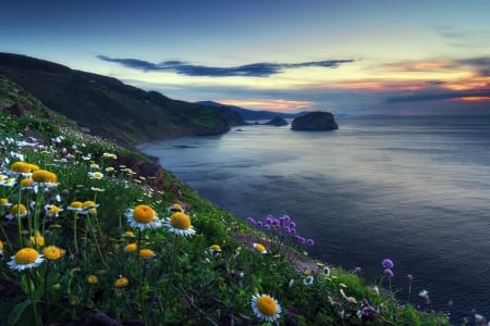 Beautiful Scenery - nature, seaside, sky, mountain, flowers