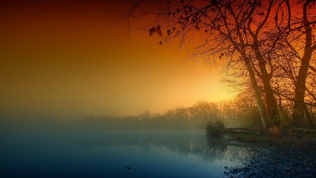 Beautiful Sunset - nature, sky, water, tree, sunset