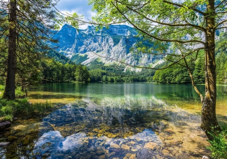 Beautiful Scenery - lake, trees, nature, mountain