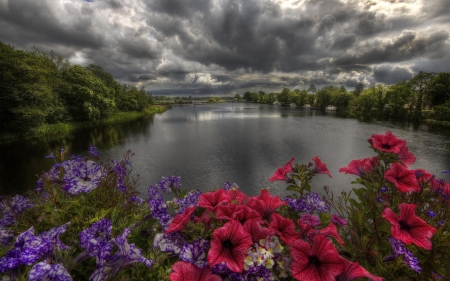 Beautiful Scenery - flowers, sky, lake, nature