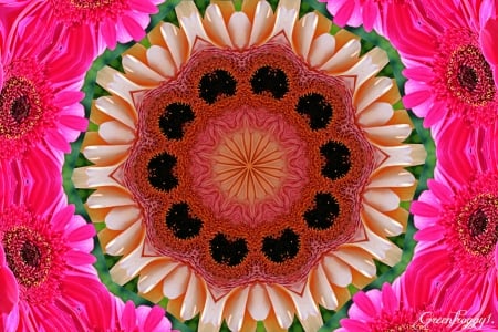 DAISY KALEIDOSCOPE