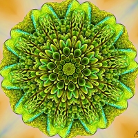 GREEN SNAKE KALEIDOSCOPE