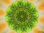 GREEN SNAKE KALEIDOSCOPE