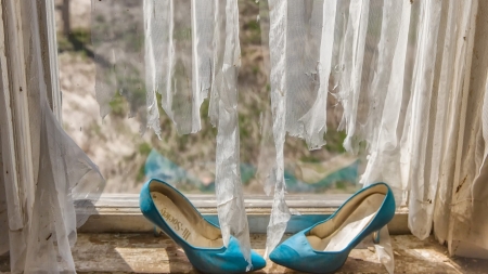 Still Life - window, still life, shoe, blue