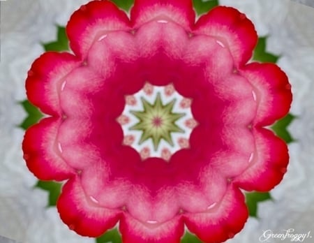 PINK ON WHITE - WHITE, PINK, FRACTAL, KALEIDOSCOPE