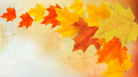 Forever Falling Leaves - autumn, falling, wind, gold, nature, fall, maple, blowing, orange, leaves, firefox persona theme