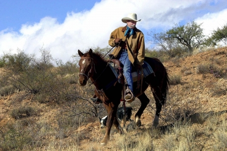 cowboy - dog, grass, cowboy, horse