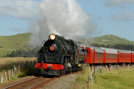 steam train - train, carriage, steam, grass