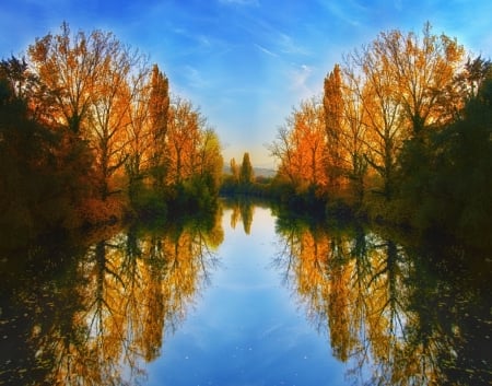 mirroring autumn trees - nature, autumn, mirroring, trees